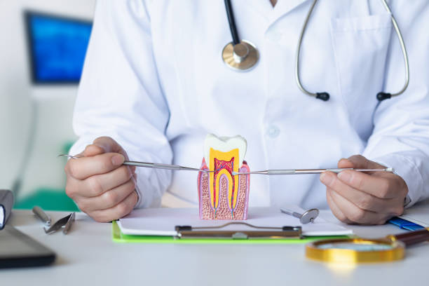 Best Broken or Chipped Tooth Repair in Rogue River, OR